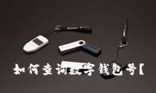 如何查询数字钱包号?