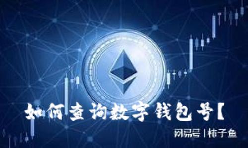 如何查询数字钱包号?