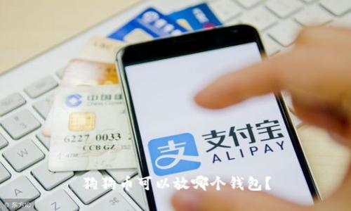 狗狗币可以放哪个钱包?