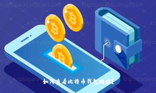如何查看比特币钱包地址?