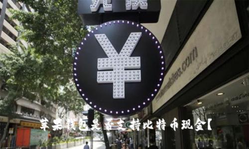 苹果钱包是否支持比特币现金?