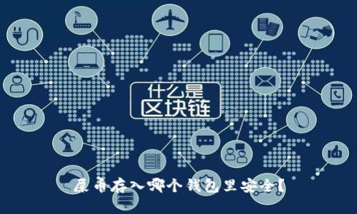 屎币存入哪个钱包里安全?
