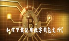 如何下载使用数字钱包支付?