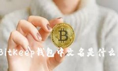 BitKeep钱包中文名是什么?