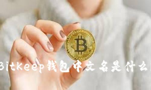 BitKeep钱包中文名是什么?