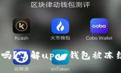 upay钱包会被冻结吗?了解upay钱包被冻结的原因和