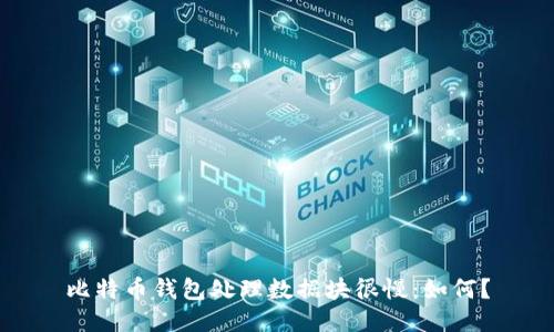 比特币钱包处理数据块很慢:如何?