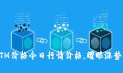 虚拟币BTM价格今日行情价格,耀眼涨势持续攀升