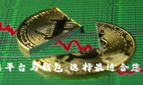 虚拟币交易平台与钱包:选择最适合您的交易方式