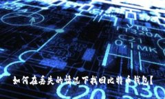 如何在丢失的情况下找回比特币钱包?
