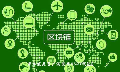 新加坡是否广泛使用USDT钱包?