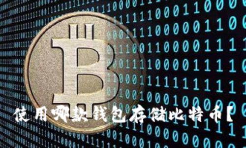 使用哪款钱包存储比特币?