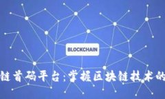 区块链首码平台:掌握区块链技术的首选