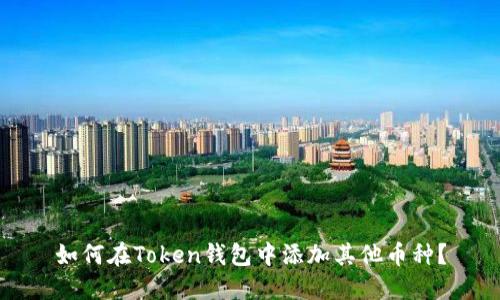 如何在Token钱包中添加其他币种?
