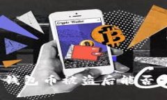 数字钱包币被盗后能否找回?
