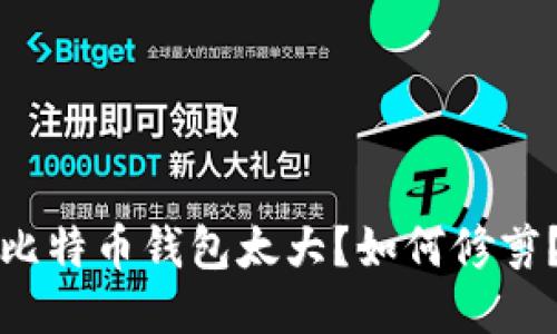 比特币钱包太大?如何修剪?