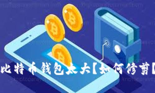比特币钱包太大?如何修剪?