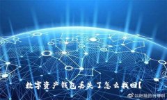 数字资产钱包丢失了怎么找回?