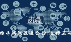 哪个比特币钱包最适合你:选择正确的钱包