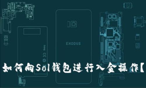 如何向Sol钱包进行入金操作?