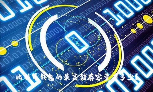 比特币钱包的最高储存容量有多少?