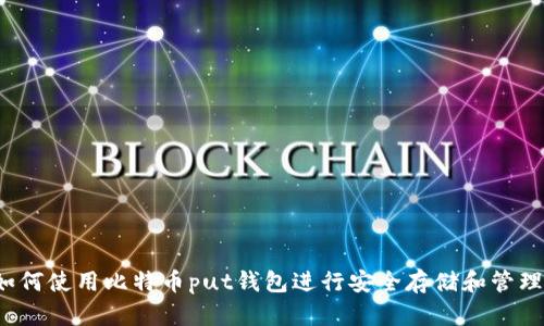 如何使用比特币put钱包进行安全存储和管理?