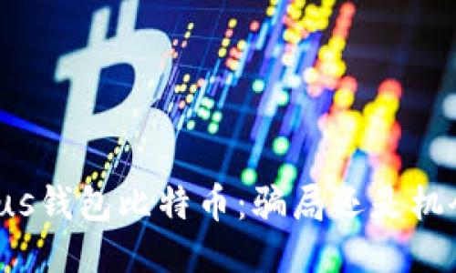 Plus钱包比特币:骗局还是机会?