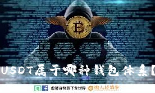 USDT属于哪种钱包体系?