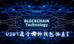 USDT属于哪种钱包体系?