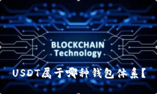 USDT属于哪种钱包体系?