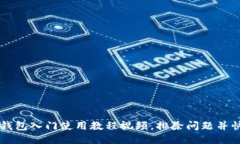 比特币核心钱包入门使用教程视频,排除问题并
