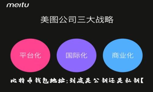 比特币钱包地址:到底是公钥还是私钥?