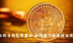比特币钱包苹果版,如何操作和选择使用?