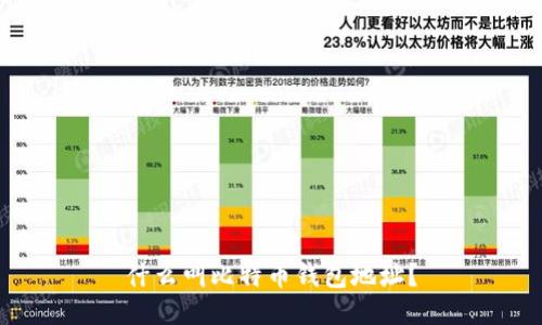 什么叫比特币钱包地址?