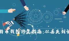 比特币钱包修复指南:从丢失到恢复