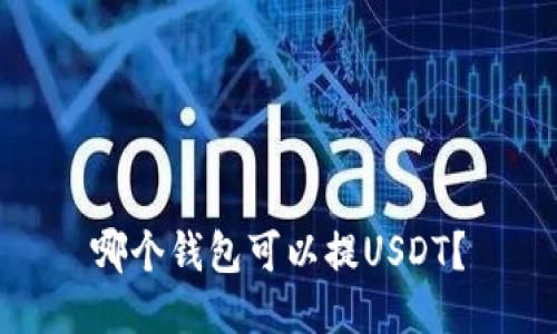 哪个钱包可以提USDT?