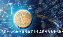 电子钱包数字货币杭州:如何使用数字货币在杭