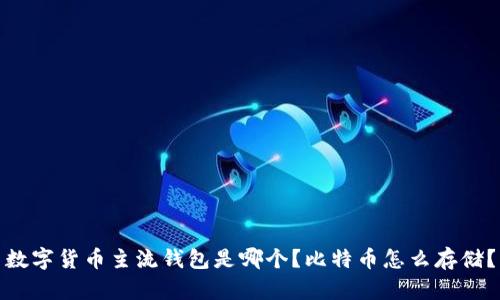 数字货币主流钱包是哪个?比特币怎么存储?