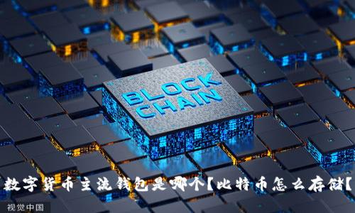 数字货币主流钱包是哪个?比特币怎么存储?