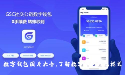 数字钱包图片大全,了解数字钱包外观样式