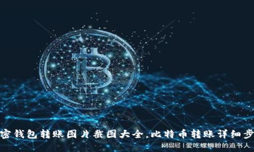 加密钱包转账图片截图大全,比特币转账详细步骤