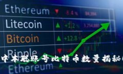 中本聪账号比特币数量揭秘!