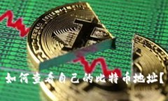 如何查看自己的比特币地址?