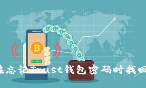 如何在忘记Trust钱包密码时找回密码?