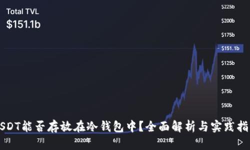 USDT能否存放在冷钱包中?全面解析与实践指南