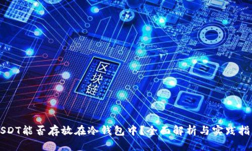USDT能否存放在冷钱包中?全面解析与实践指南