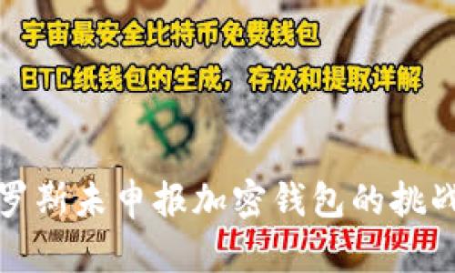 如何应对俄罗斯未申报加密钱包的挑战与解决方案
