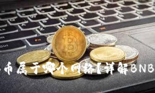 TP冷钱包中的BNB币属于哪个网络?详解BNB的网络架构与应用