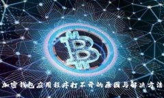 加密钱包应用程序打不开的原因与解决方法
