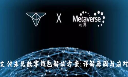 微信支付未见数字钱包解决方案:详解原因与应对策略